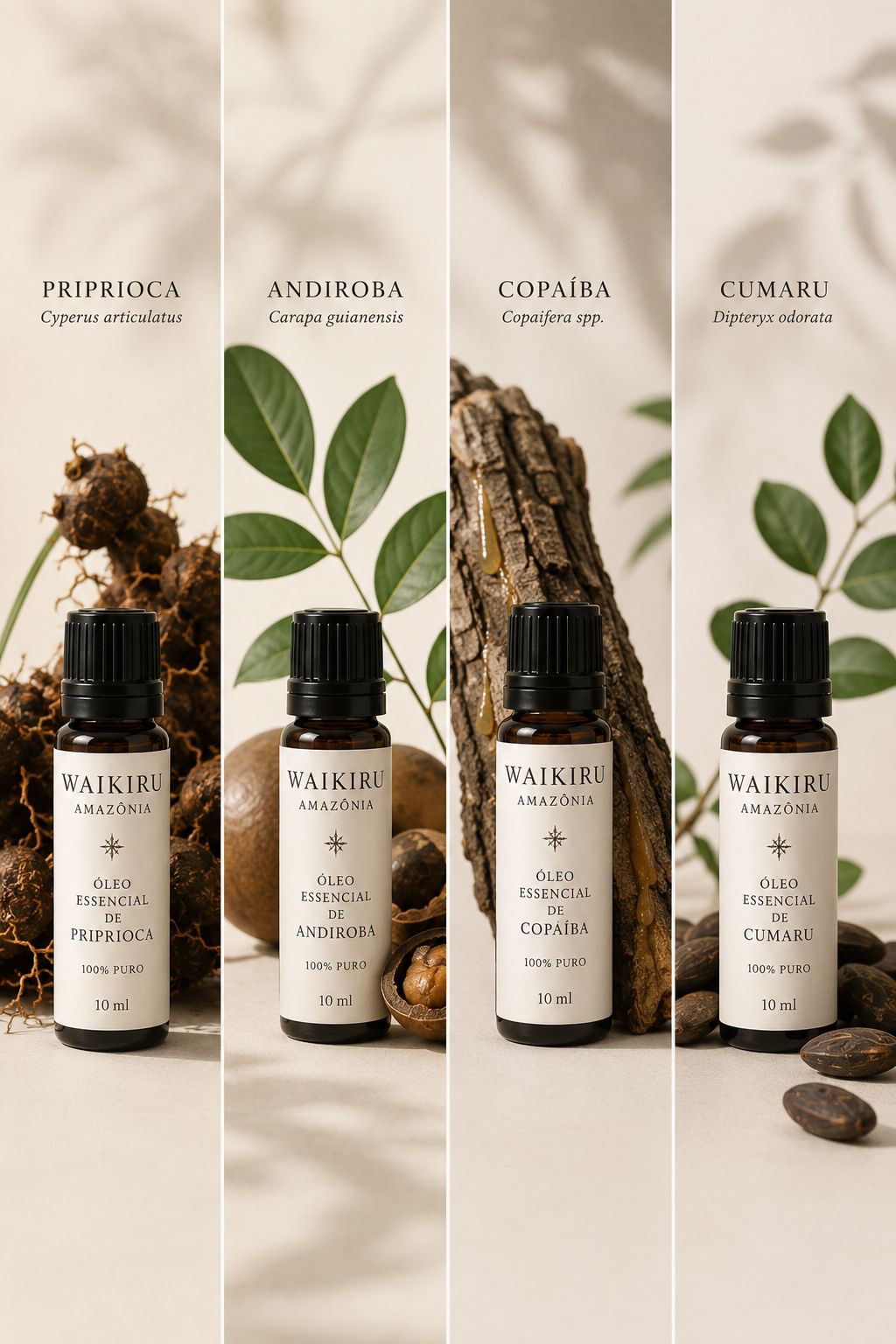 Óleos Especiais